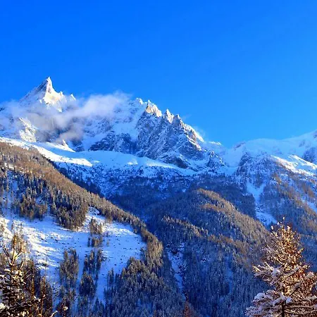 Jardinmontblancb * Chamonix